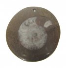 Bra Pris Unikt Smycke Fossil Ammonit i Matrix 9,95 gram Polerat Hänge med Hål från Marocko Köp Nu!