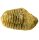 (image for) Good Price High Interesting Well Shaped Fossil Trilobite 102 grams Natural Released Specimen Untreated Nice Collectible Item from Morocco Buy Now!