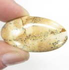 (image for) Good Price Beutiful Pattern Picture Jasper 45,65 carat Oval Cabochon Cut Very Good Quality & Colour from Indonesia Purchase Now!