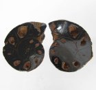 (bild för) Bra Pris Mycket vackert Naturligt Konstverk Fossil 2 st/1 par Ammonit 7,30 gram Sågad Polerade Halvor Intressant Spännande Samlar Objekt från Marocko Köp Nu!