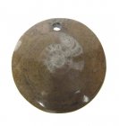 Bra Pris Unikt Smycke Fossil Ammonit i Matrix 13,30 gram Polerat Hänge med Hål från Marocko Köp Nu!