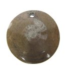(bild för) Bra Pris Unikt Smycke Fossil Ammonit i Matrix 13,30 gram Polerat Hänge med Hål från Marocko Köp Nu!