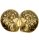 (image for) Good Price Very Beautiful Natural Artwork Fossil 2 pcs/1 pair Ammonite 262 gram Sawn Polished Half´s Interesting Exciting Collectible Item from Morocco Buy Now!