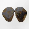 Bra Pris Snygg Samlarfossil 2 st/1 par Ammonit 3,90 gram Polerade Halvor från Marocko Köp Nu!