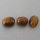 (image for) Good Price Parcel 3 pcs Very Nice Tiger´seye 4,12 carat Oval Cabochon Good Quality & Colour´s Pattern from India Purchase Now!