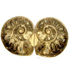 (image for) Good Price Very Beautiful Natural Artwork Fossil 2 pcs/1 pair Ammonite 262 gram Sawn Polished Half´s Interesting Exciting Collectible Item from Morocco Buy Now!