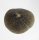 (image for) Good Price Exciting Finely Shaped Tooth from Mosasaur 9,15 grams High Interesting Collectible Item from Morocco Buy Now!
