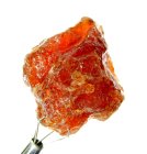 (bild för) Bra Pris Stor Obehandlad Mycket Fin Orange Brun Spessartit Granat 64,99 carat Naturlig Kristall/Brottstycke från Afganistan Köp Nu!