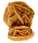 (image for) Good Price Very Beautiful Beige Brown Desert Rose 160 grams Finest Color & Good Quality High Interesting Special Collector's Item from Morocco Buy Now!