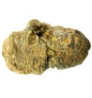 (image for) Good Price High Interesting Well Shaped Fossil Trilobite 87 grams Natural Released Specimen Untreated Nice Collectible Item from Morocco Buy Now!