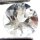 (image for) Good Price Very Beutiful Untreated Goshenite (White Beryl) approx 0,16 carat Round Cut Very Good Quality & Luster from Brazil Purchase Now!