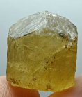 Bra Pris Specimen Mycket Vacker Gul Skapolit 68,36 carat Naturlig Terminerad Kristall Transparent från Afganistan Köp Nu!