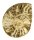 (image for) Good Price Very Beautiful Natural Artwork Fossil Ammonite 63 grams Sawn Polished Half Interesting Exciting Collectible Item from Morocco Buy Now!