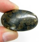 (bild för) Bra Pris Stor Intressant Mixad Ädelsten Glimmer i Skapolit 56,49 carat Oval Cabochon Slipning från Brasilien Köp Nu!