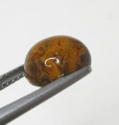 (image for) Good Price Very Nice Tiger´seye 3,42 carat Round Cabochon Good Quality & Colour´s Pattern from India Purchase Now!