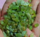 Bra Pris Parti Pakistansk Oslipad Peridot 250 carat Naturlig Kristall Köp Nu!