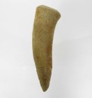 (image for) Good Price Enchodus Fossile Fishtooth 5,50 gram Approx. 100 m years old from Sahara, Morocko Purchase Now!