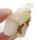 (image for) Good Price Very Fine Interesting Stuff Rock Crystal/White Quartz 29,50 grams Natural Cluster Terminated Crystals from Morocco Buy Now!