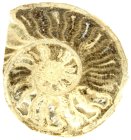 (bild för) Bra Pris Större Mycket vackert Naturligt Konstverk Fossil Ammonit 311 gram Sågad Polerad Halva Intressant Spännande Samlar Objekt från Marocko Köp Nu!