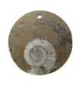 (image for) Good Price Unique Jewelry Fossile Ammonite in Matrix 9,45 gram Polished Pendant with Loop from Morocko Purchase Now!