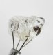 (image for) Good Price Genuine Uncut Diamond Quarts 7,04 carat Natural Crystal with Actinolite från Afganistan Purchase Now!