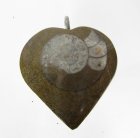 (bild för) Bra Pris Unikt Smycke Fossil Ammonit i Matrix 13,65 gram Polerat Hänge med Ögla från Marocko Köp Nu!