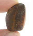 (bild för) Bra Pris Mycket Fin Rå Oslipad Koroit Boulder Opal 29,30 carat Naturlig Kristall/Bit Bra Färg Mönster & Kvalitet från Lightning Ridge Australien Köp Nu!