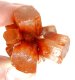 (image for) Good Price Very Beautiful Reddish Brown Aragonite 33.4 grams Natural Crystal Cluster in Wonderful Shape & Color Good Quality Interesting Collectible from Morocco Buy Now!