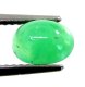 (image for) Good Price Very Nice Green Chrysophrase 1,12 carat Oval Cabochon Cut Good Quality & Even Colour from Africa Purchase Now!