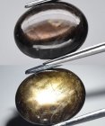 Bra Pris Behandlad Unik Svart Grön Stjärn Safir 3,54 carat Oval Cabochon 6-strålig Stjärna från Thailand Köp Nu! (bild för) Bra Pris Behandlad Unik Svart Grön Stjärn Safir 3,54 carat Oval Cabochon 6-strålig Stjärna från Thailand Köp Nu!