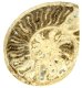 (image for) Good Price Bigger Very Beautiful Natural Artwork Fossil Ammonite 286 grams Sawn Polished Half Interesting Exciting Collectible Item from Morocco Buy Now!