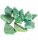 (image for) Good Price Parcel 10 pcs Very Fine Quality Beautiful Bluish Green White Patterned Rough Amazonite 39 grams Natural Broken Piece Beautiful Material & Good Color from Russia Buy Now!