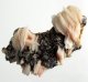 (image for) Good Price Very Nice Cerussite Crystal´s with Baryte 90 gram Collector´s Piece from Morocko Purchase Now!