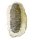 (image for) Good Price High Interesting Extremely Well Shaped Very Beautiful Fossil Trilobite 446 grams Natural Whole Specimen with Matrix Perfect Exclusive Collector's Item from Morocco Buy Now!
