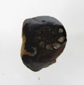 Bra Pris Snygg Samlarfossil Ammonit 4,90 gram Polerad Halva från Marocko Köp Nu!