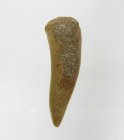 Bra Pris Enchodus Fossil Fisktand 3,25 gram Uppskattat 100 milj år gammal från Sahara, Marocko Köp Nu!