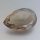 (image for) Nice Brown Smokey Quartz 20,27 carat Pear Cut Nice Luster fr India