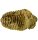 (image for) Good Price High Interesting Well Shaped Fossil Trilobite 113 grams Natural Released Specimen Untreated Nice Collectible Item from Morocco Buy Now!