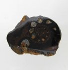 Bra Pris Snygg Samlarfossil Ammonit 4,30 gram Polerad Halva från Marocko Köp Nu!