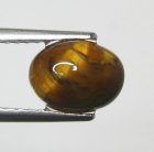 (image for) Good Price Very Nice Tiger´seye 1,51 carat Oval Cabochon Good Quality & Colour´s Pattern from India Purchase Now!