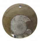 Bra Pris Unikt Smycke Fossil Ammonit i Matrix 12,85 gram Polerat Hänge med Hål från Marocko Köp Nu!