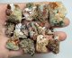 (image for) Good Price Parcel 13 pcs Very Nice Specimen Orange Spessartite Garneth 509 carat Natural Crystal in Matrix Small Specimen´s from Afganistan Purchase Now!