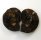 (image for) Good Price Very Beautiful Natural Artwork Fossil 2 pcs/1 pair Ammonite 41 gram Sawn Polished Half´s Interesting Exciting Collectible Item from Morocco Buy Now!