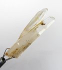 (image for) Good Price Very Fine Interesting Ministuff Rock Crystal/White Quartz 3.00 grams Natural Cluster Terminated Crystals from Morocco Buy Now!
