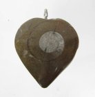 (image for) Good Price Unique Jewelry Fossile Ammonite in Matrix 13,60 gram Polished Pendant with Loop from Morocko Purchase Now!