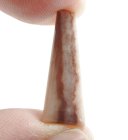 (image for) Good Price Beutiful Pattern Brown Coconut Jasper 11,56 carat Fancy Cabochon Cut Very Good Quality & Colour from Madagascar Purchase Now!
