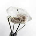 Bra Pris Äkta Oslipad Diamant Kvarts 7,14 carat Naturlig Kristall med Actinolit från Afganistan Köp Nu!