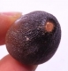 Bra Pris Spännande Fint Formad Tand från Mossasaurie 8,25 gram Hög Intressant Samlar Objekt från Marocko Köp Nu!