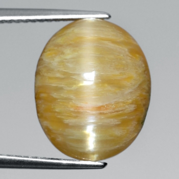 Bra Pris Mycket Fin Mexikansk Opal Kattöga 8,91 carat Oval Cabochon Slipning Skarpt Öga Köp Nu!