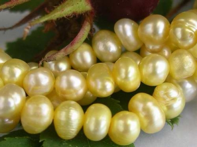 Solgula Sötvattenspärlor Potatis 3-4 mm 37-39cm/str.